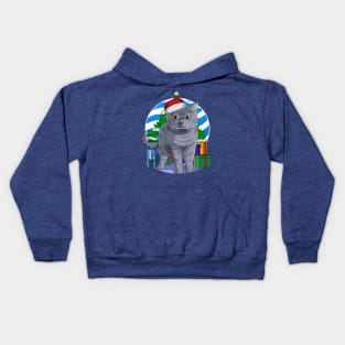 British Shorthair Cat Santa Christmas Gift Kids Hoodie